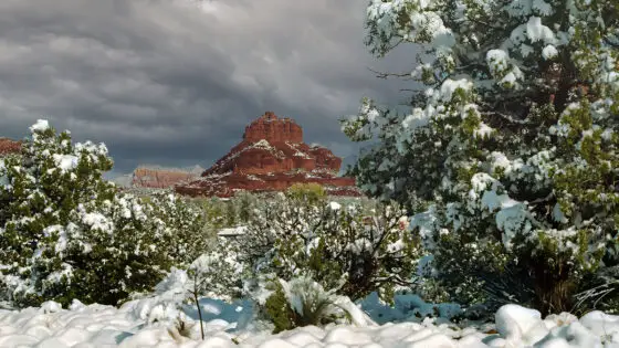 Today’s Photo from Ted Grussing Photography: ... a bit of this, a bit of that
