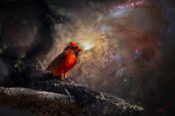 Today’s Photo from Ted Grussing Photography: Astro Red