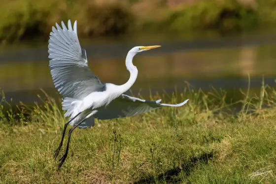 Today’s Photo from Ted Grussing Photography: ... natural only ... it is cooler!