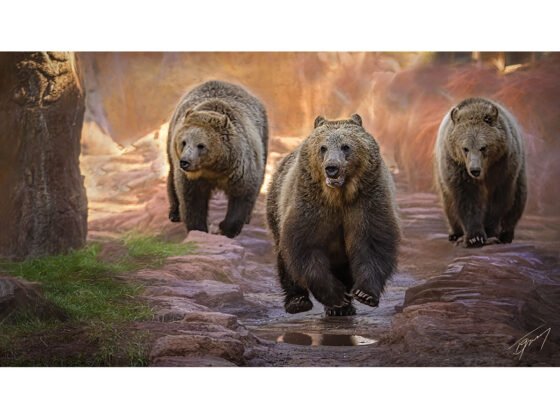 Today’s Photo from Ted Grussing Photography: … take time to restore your soul! grussing 20250414a FI