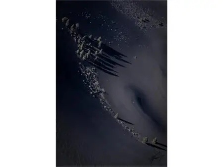 Today’s Photo from Ted Grussing Photography: … the abstract Today’s Photo from Ted Grussing Photography: ... the abstract