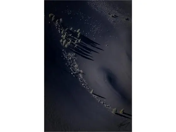 Today’s Photo from Ted Grussing Photography: … the abstract Today’s Photo from Ted Grussing Photography: ... the abstract