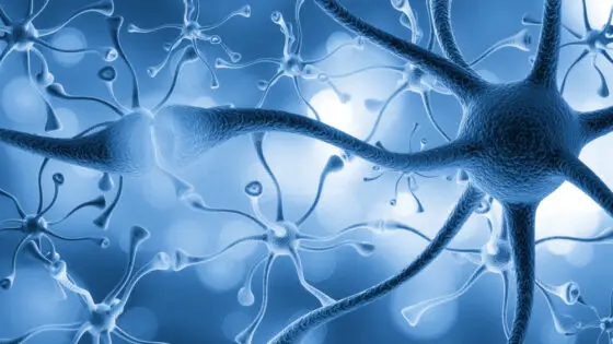 AI: Neuroimaging Theory of Brain Science and Consciousness AI: Neuroimaging Theory of Brain Science and Consciousness