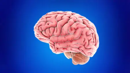 Nick Reiner: Inside the Mind of Schizophrenia, Drug Addiction Psychiatry