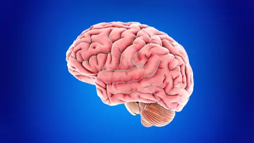 Nick Reiner: Inside the Mind of Schizophrenia, Drug Addiction Psychiatry Nick Reiner: Inside the Mind of Schizophrenia, Drug Addiction Psychiatry