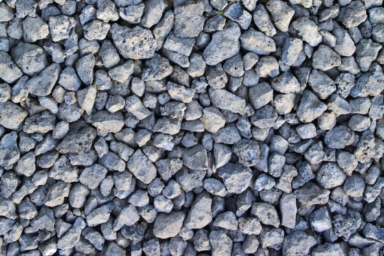 shutterstock 1423648349