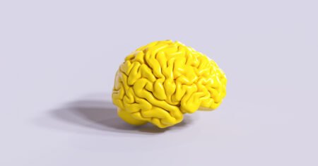 AI model welfare: What exactly is human intelligence in brain science?
