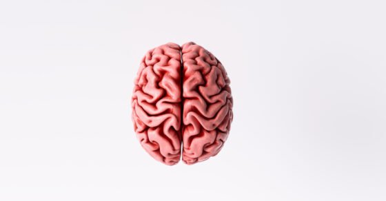 shutterstock 1630040086