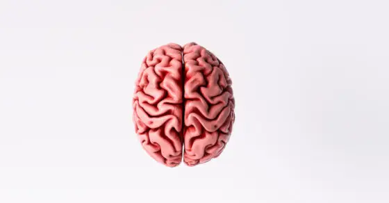 Neuroscience: How Negative Thoughts Came to Dominate the World, Affecting Everything