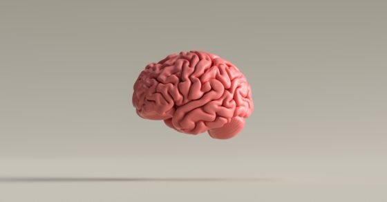 The sour legacy of David Chalmers, Christof Koch in consciousness research, human intelligence, AI, mental health
