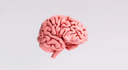 GPT-5: Human Intelligence Research Lab has $0, AI has $1 Trillion