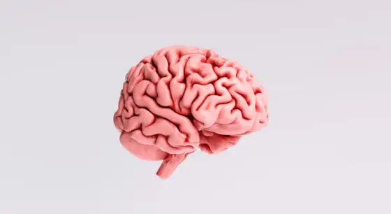 GPT-5: Human Intelligence Research Lab has $0, AI has $1 Trillion