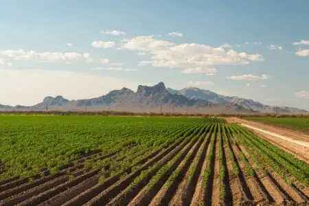 US-Iran Ceasefire, Strait of Hormuz, Food Security Insurance: Coalition against Fertilizer Shortages?