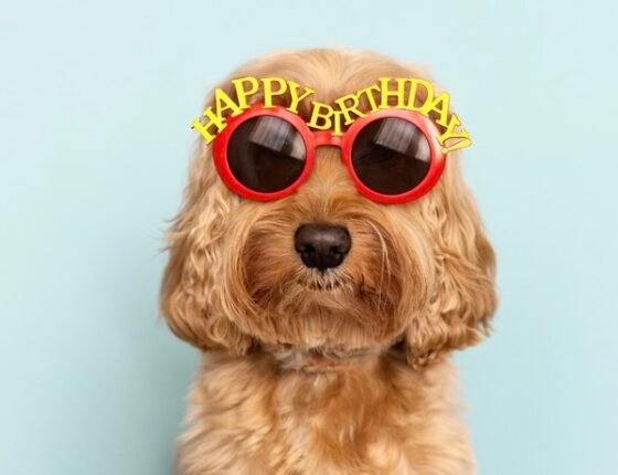 shutterstock 2117962544