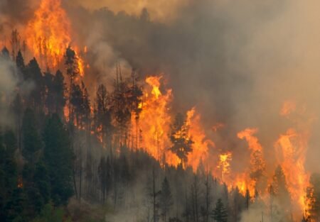 Hart Fire northwest of Sedona mapped at 13 acres Hart Fire northwest of Sedona mapped at 13 acres