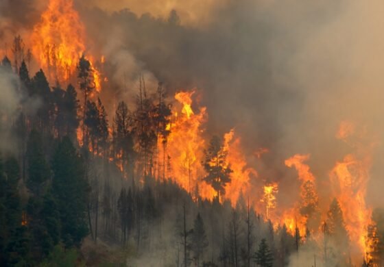 Hart Fire northwest of Sedona mapped at 13 acres