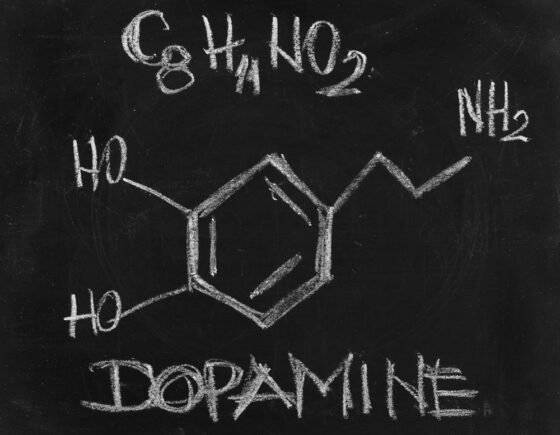 shutterstock 2394179323