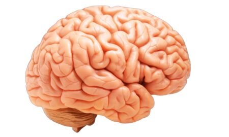 LLMs: Why Thoughts of Suicide Should Be Categorized as a Mental Disorder