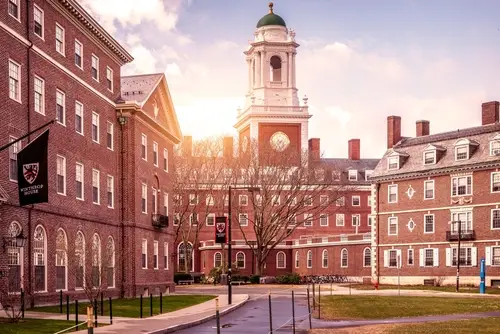 Harvard University Decay — Human Intelligence, Trump, AI, Epstein Harvard University Decay — Human Intelligence, Trump, AI, Epstein