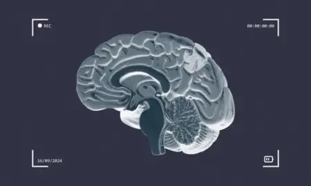 Human Mind Research Lab for AI Psychosis Therapy? Human Mind Research Lab for AI Psychosis Therapy?