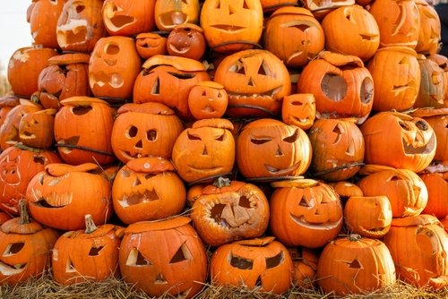 City hosts free pumpkin drop-off site at Fest of Fall event shutterstock 2656915965