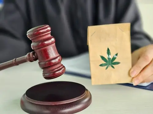 National Briefing on New Federal THC Law Reshaping the Hemp and Cannabis Markets Across the U.S.