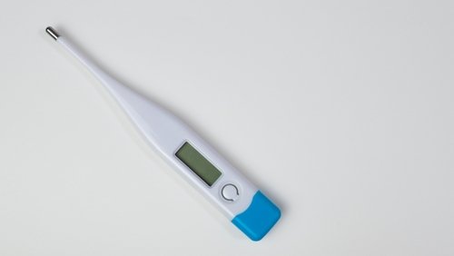 shutterstock 2706496025