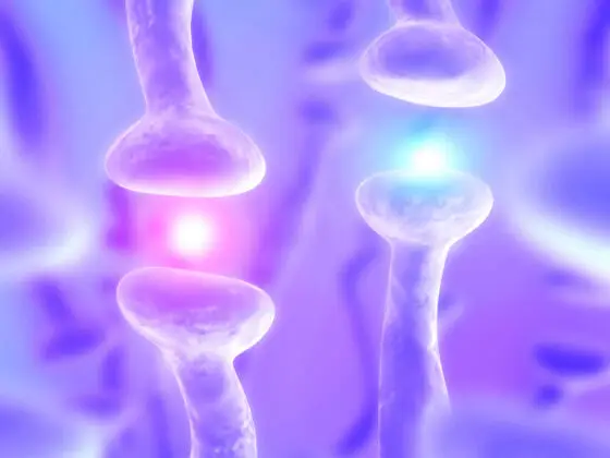 NIH BRAIN Initiative—How Does the Mind Regulate the Body? NIH BRAIN Initiative—How Does the Mind Regulate the Body?