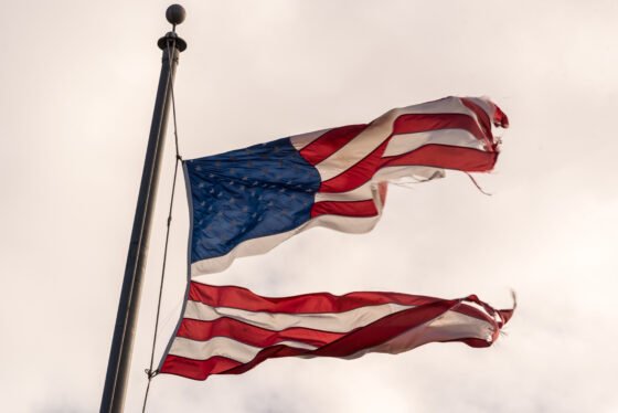 Love and Hate Define the Mid-Term Elections Love vs. Hate Defines the Mid-Term Elections