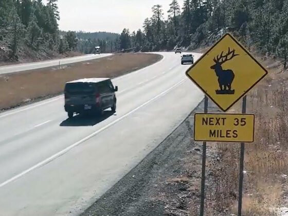 ADOT gets federal grant to enhance wildlife connectivity and safety Photo credit: Arizona Department of Transportation