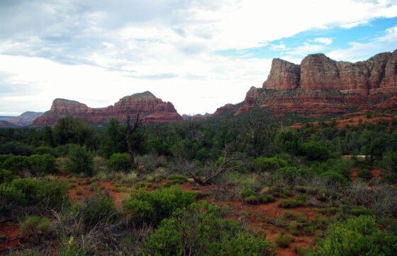 Expect daytime lane restrictions on SR179 between I-17 and the Village of Oak Creek July 17-28 stock biz SR179