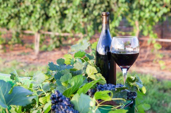 Annual Camp Verde Pecan & Wine Festival