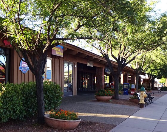 Renew annual business licenses now stock city business