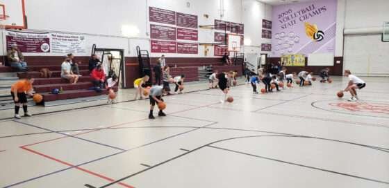 Register now for the Grasshopper Youth Basketball League stock city youthbasketball