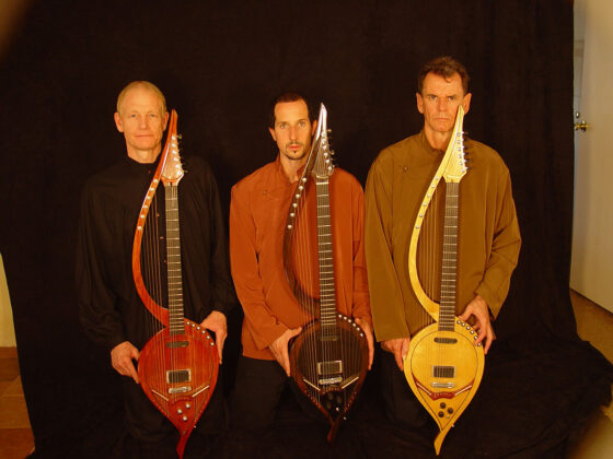 Electric Harp Guitar Group at OTCA