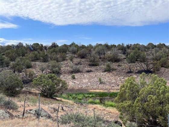 stock usfs casnerfire