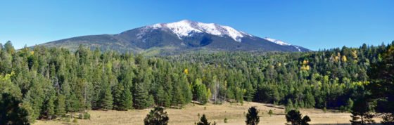 Grants available to improve watersheds, forest health San Francisco Peaks, Coconino National Forest