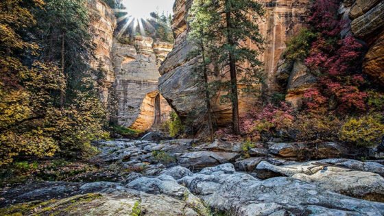 Pumphouse Wash forest restoration work beginning south of Flagstaff stock usfs coconino pumphousewash