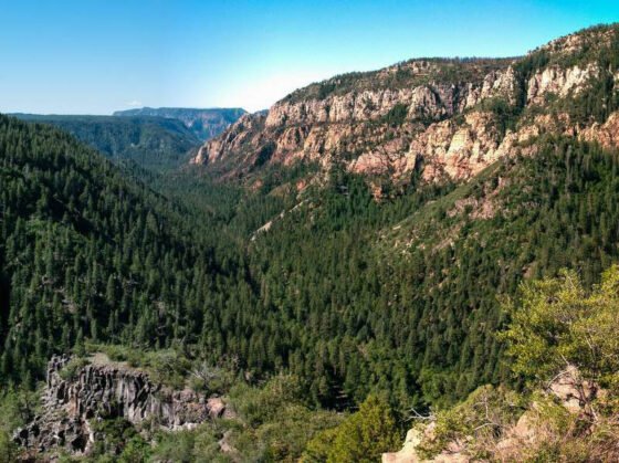 Red Rock Ranger District to analyze comments, consider modifications to proposed trail enhancements Oak Creek Canyon, Arizona