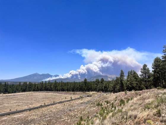 stock usfs pipelinefire01