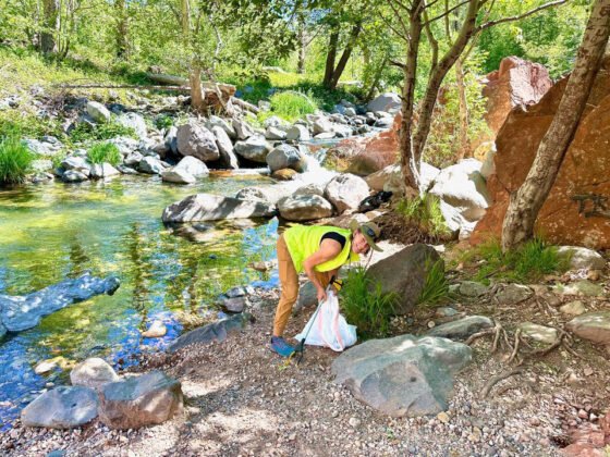 stock volunteersedona