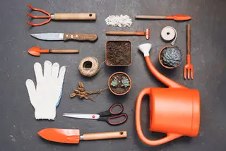 Gardening in Sedona: Essential Tools and Tips